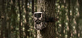 HIKMICRO_Trail-Camera_T16_Smart_PC_01