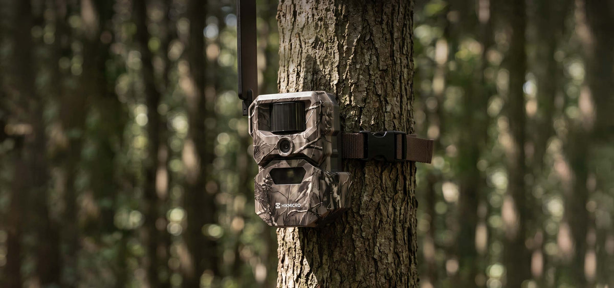 HIKMICRO_Trail-Camera_T16_Smart_PC_01