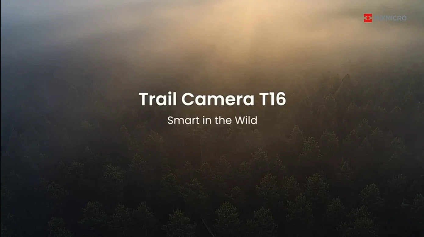 T16 Introduction